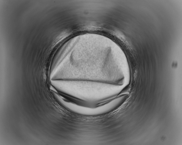 X0000097971209200804211002
