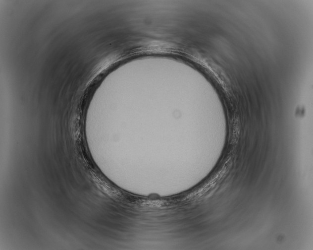 X0000097971211200804211002