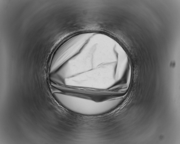 X0000097971212200804211002