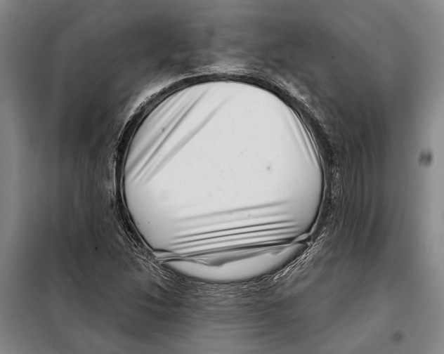 X0000097971214200804211002