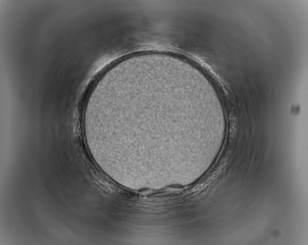 X0000097971215200804211002