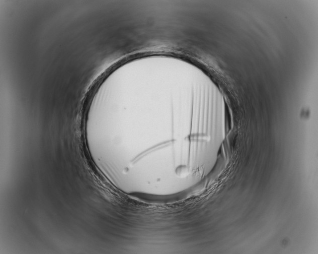 X0000097971216200804211003