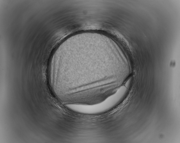 X0000097971217200804211003