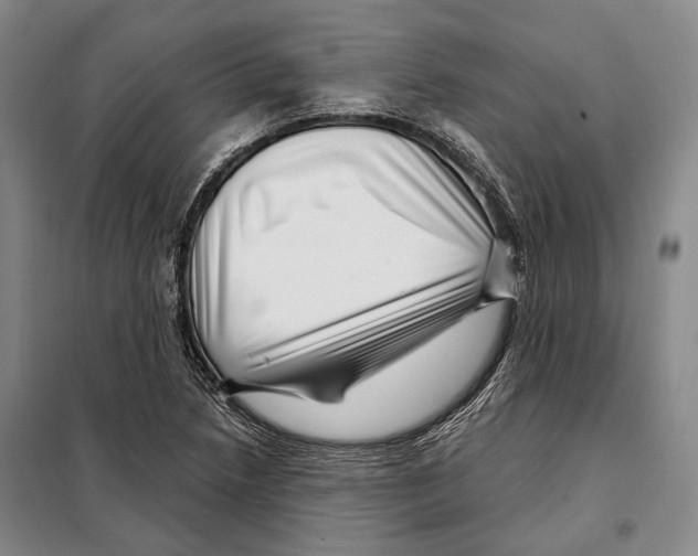 X0000097971218200804211003
