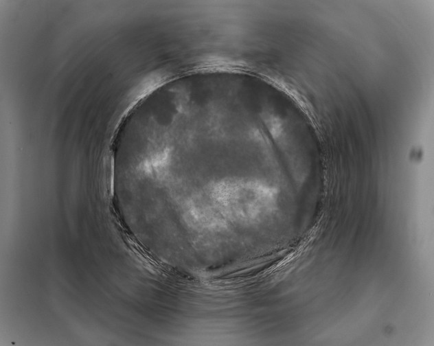 X0000097971219200804211003