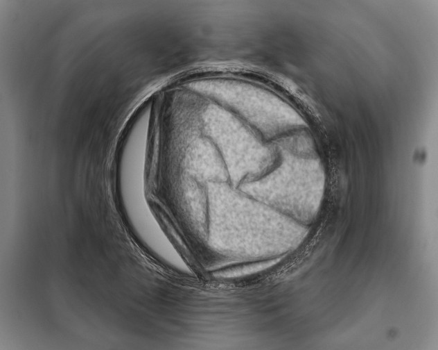 X0000097971221200804211003