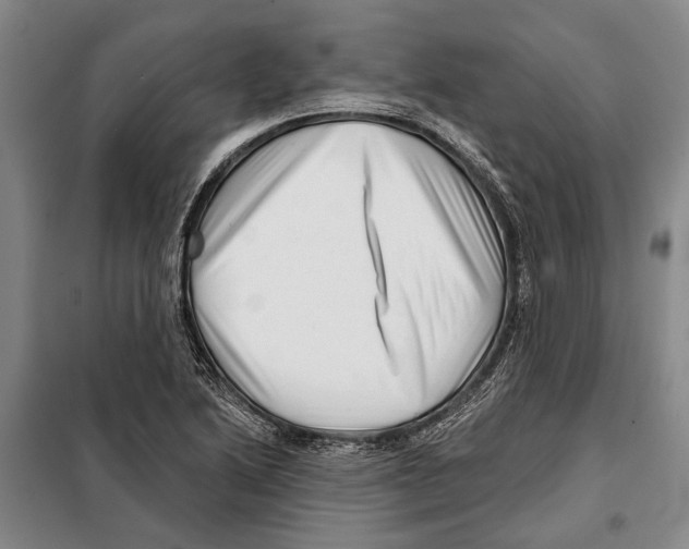 X0000097971222200804211003