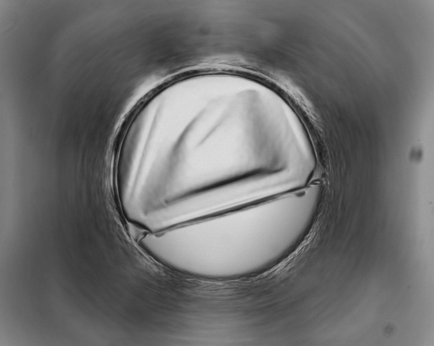 X0000097971224200804211003