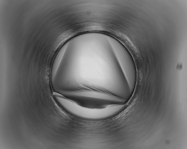 X0000097971225200804211003