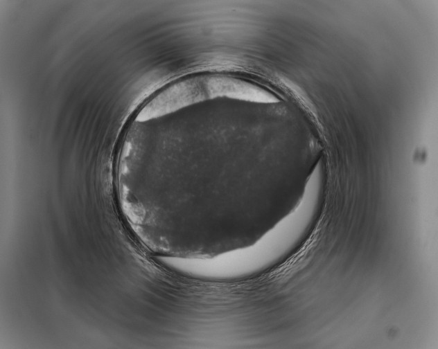X0000097971226200804211003
