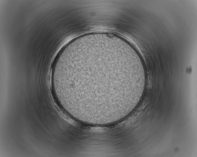 X0000097971227200804211003