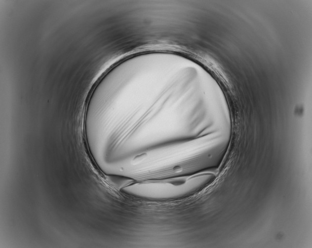 X0000097971228200804211003