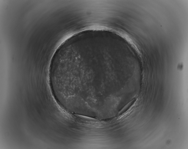 X0000097971229200804211003