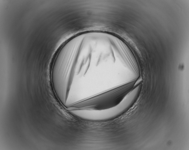 X0000097971230200804211003