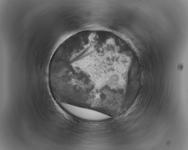 X0000097971231200804211003