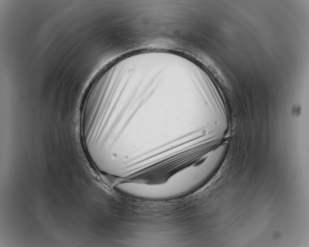 X0000097971232200804211003