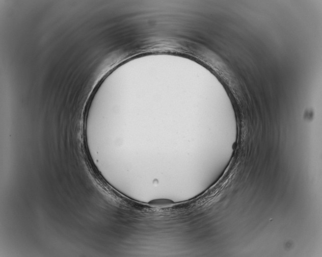 X0000097971234200804211003