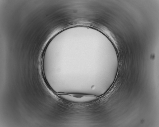 X0000097971235200804211003