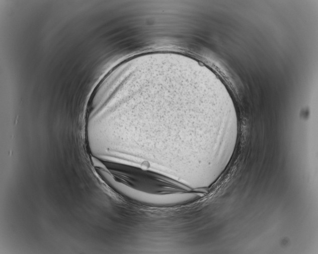 X0000097971236200804211003