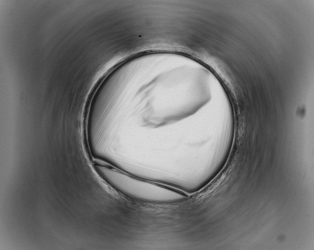 X0000097971237200804211003