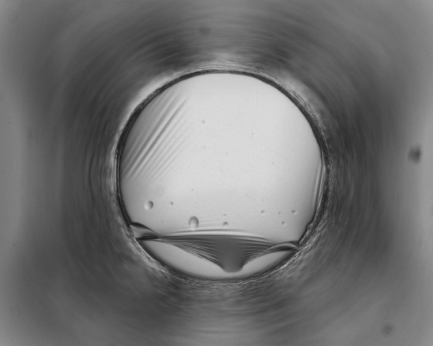 X0000097971238200804211003