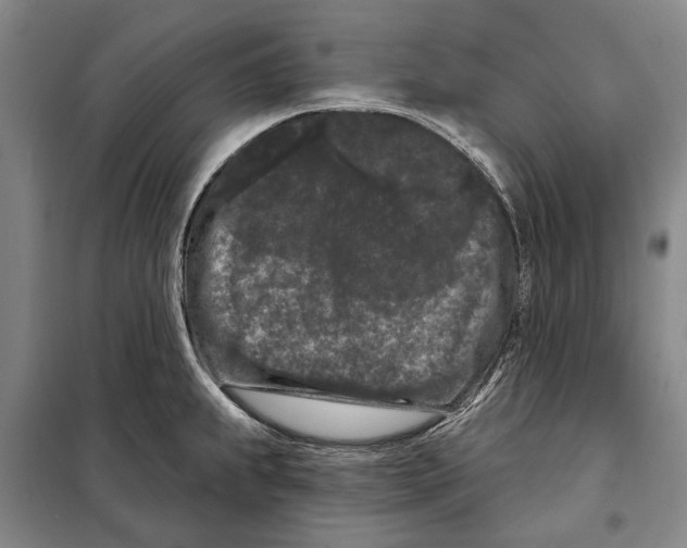 X0000097971239200804211003
