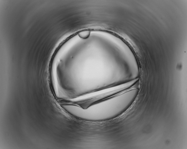 X0000097971240200804211003