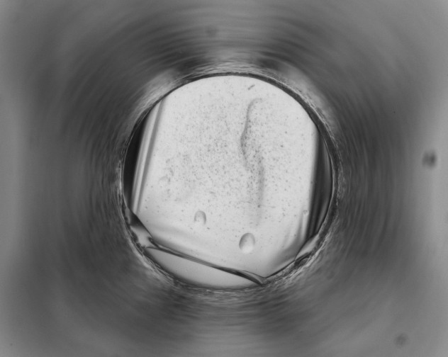 X0000097971241200804211003