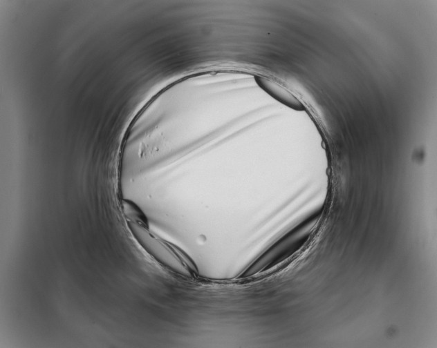 X0000097971244200804211003