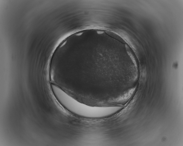 X0000097971246200804211003