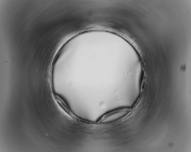 X0000097971247200804211003