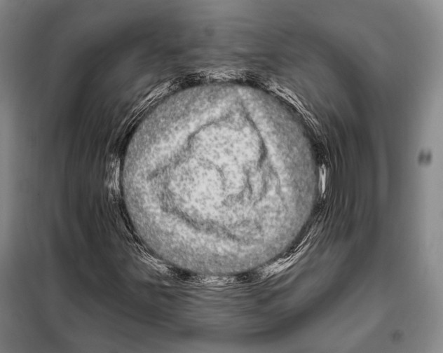 X0000097971251200804211002