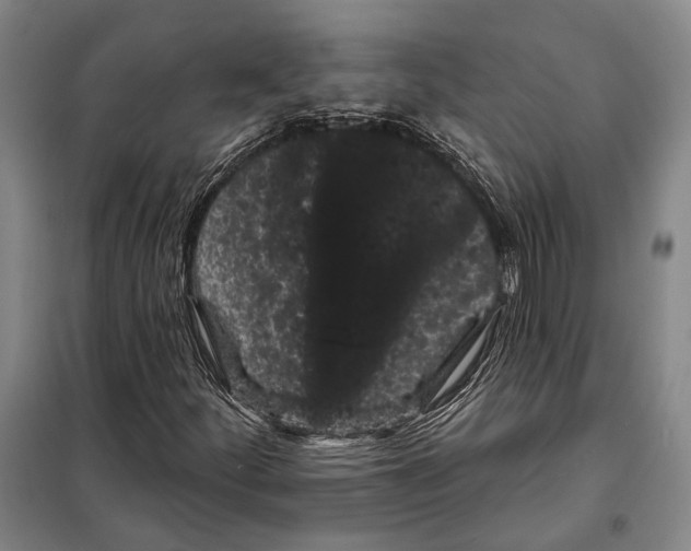 X0000097971252200804211002