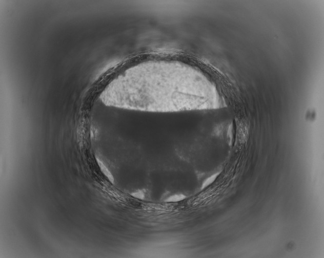 X0000097971254200804211002