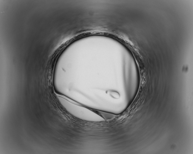 X0000097971255200804211002