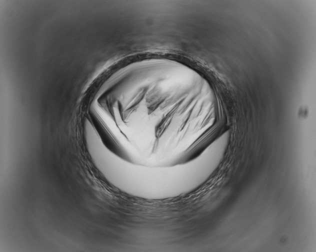 X0000097971256200804211002
