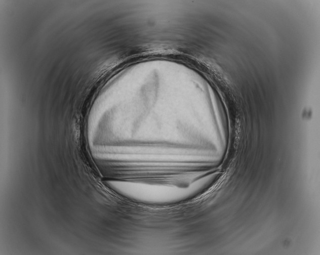 X0000097971257200804211002