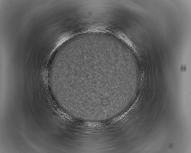 X0000097971258200804211002