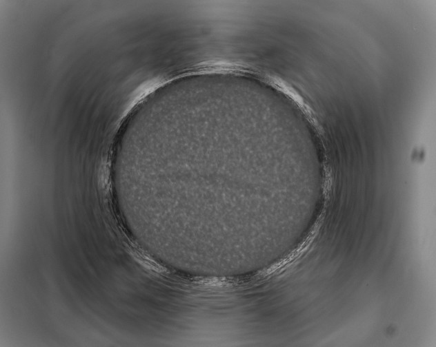 X0000097971259200804211002