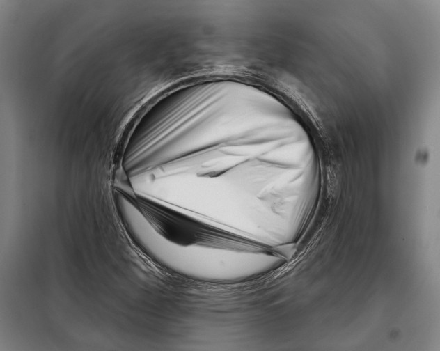 X0000097971260200804211002