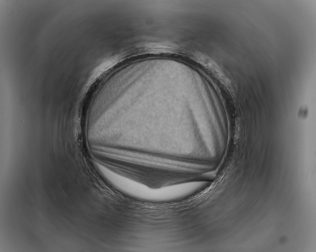 X0000097971261200804211002