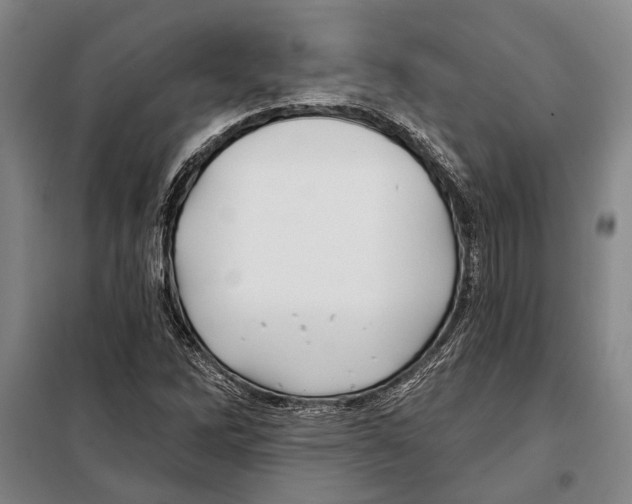 X0000097971262200804211002