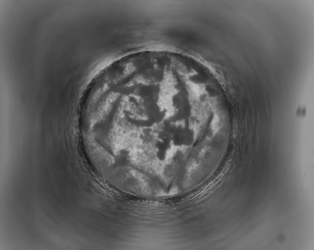 X0000097971263200804211002