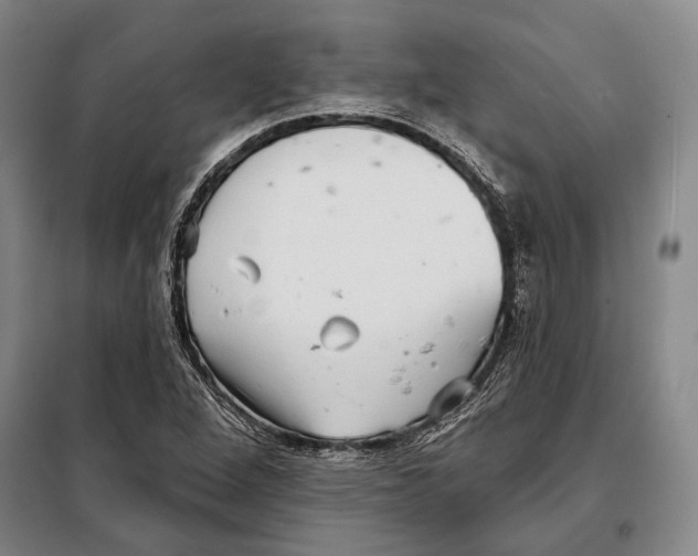X0000097971264200804211002