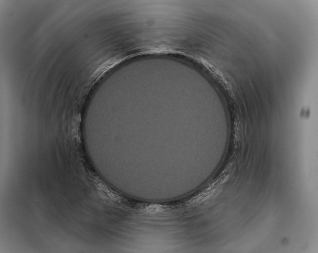 X0000097971265200804211002