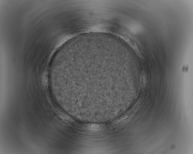 X0000097971266200804211002