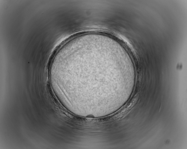 X0000097971267200804211002