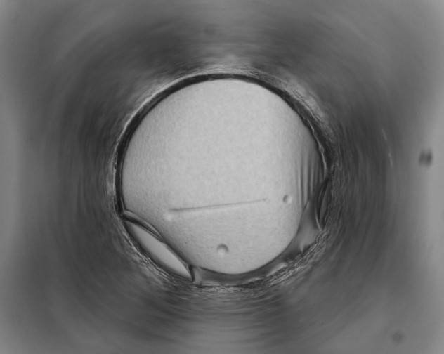 X0000097971268200804211002