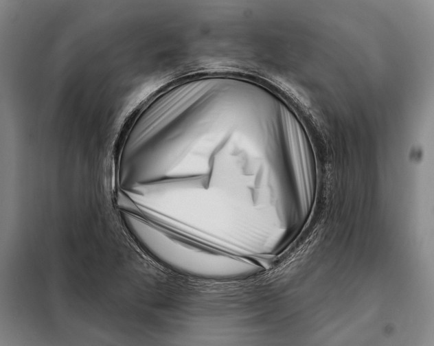X0000097971269200804211002