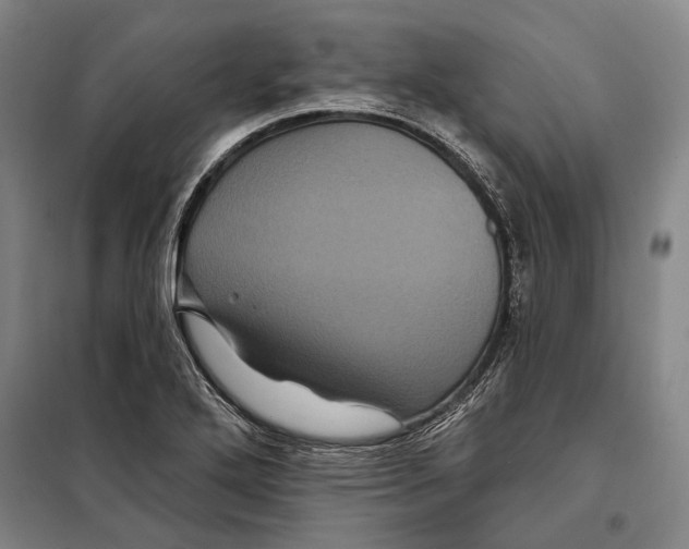 X0000097971272200804211002